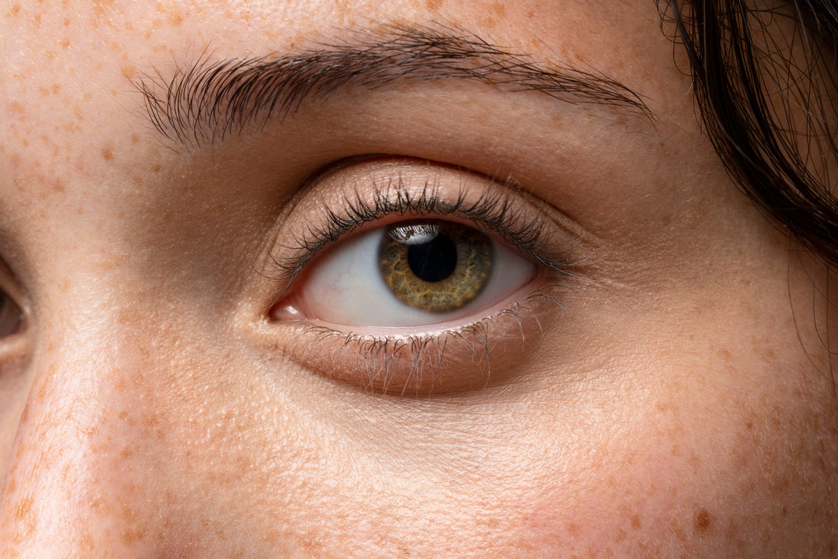 Hormonal Lash & Brow Thinning: How Postpartum, Thyroid Shifts, and Menopause Impact Follicles